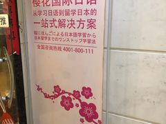-樱花国际日语(人广中心)