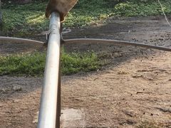 -深圳野生动物园