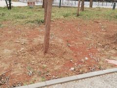 -石家庄市植物园