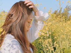 -野狸岛