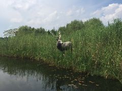 -溱湖国家湿地公园