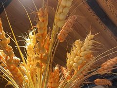 -云尊府云南菜·蒸汽石锅鱼(学清路店)