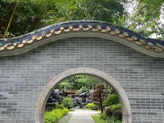 -顺峰山公园