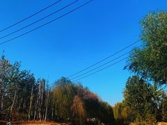 -北坞公园