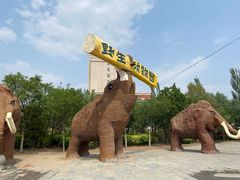 -大青山野生动物园