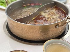 -菌子鲜汤野生菌锅