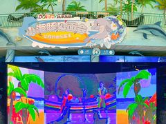-乐和乐都主题乐园