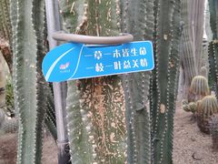 -南山植物园