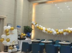 -碧莲盛·不剃发植发