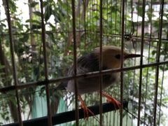 -丝绸小镇荻港古村