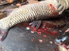 -梅记大块头爆鱼店(乍浦路店)