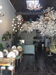 点击看大图 -美年亲子儿童摄影(合肥市滨湖新区金泉小区店)