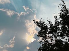 -迪卡侬(西华店)