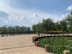 -绿堤公园