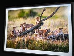 -罗红摄影艺术馆