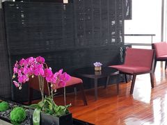 -广州富力君悦大酒店空中花园
