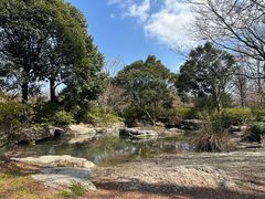 -上海滨江森林公园