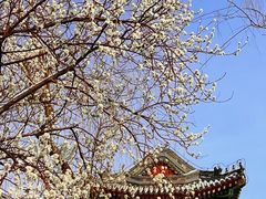 -颐和园-景明楼