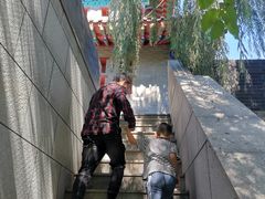 -武清南湖绿博园