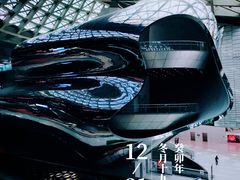 -深圳市当代艺术与城市规划馆