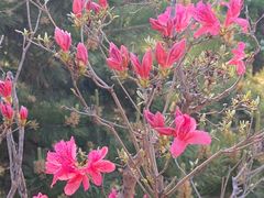 -北京雁栖湖国际会展中心