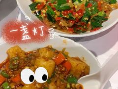 -壹盏灯(惠农店)