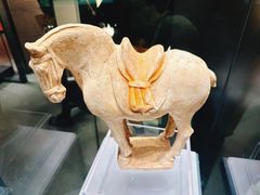-隋唐大运河文化博物馆