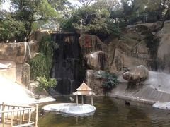 iphone_upload_pic-百鸟园