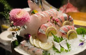 Live Sea Bream