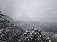 -青城山
