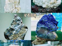 -中国第四纪冰川遗迹陈列馆