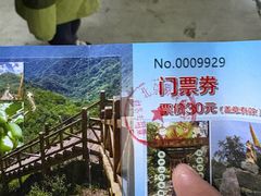 -大岭沟猕猴桃谷风景区