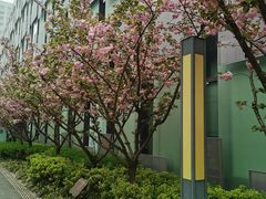 -南京鼓楼医院(鼓楼本部)