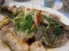 -拉萨风马飞扬旅舍(大昭寺店)