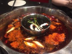 -小天鹅火锅·一线江景洪鼎旗舰店(洪崖洞店)