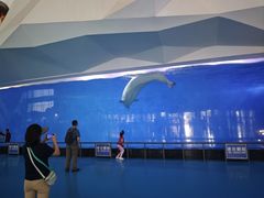 -泉城欧乐堡海洋极地世界