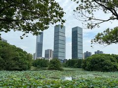 -艾溪湖湿地公园