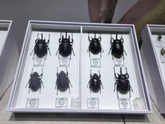 -烟台市博物馆