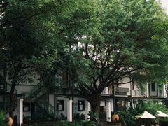 -喜洲吧·江畔老船厂·庭院餐厅(喜临院店)