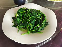 -南燕湾渔家码头