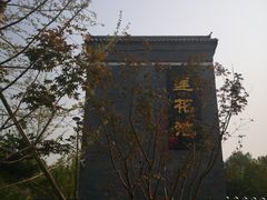 -莲花池公园