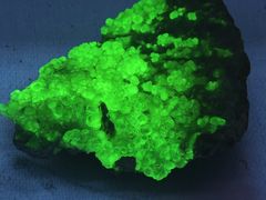 -湖南省地质博物馆