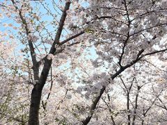 -龙美术馆西岸馆-停车场