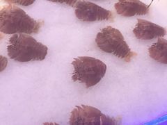 -澜悦港海鲜体验主题餐厅