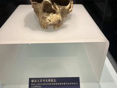 -湖北省博物馆