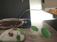 -小茶闲舍·观景商务茶馆(广州塔店)