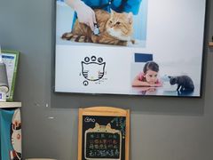 -御宝贝·A梦猫科宠物医院(国际猫友好医院)