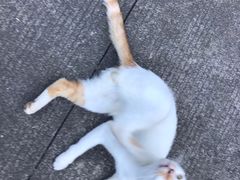 -上海长途汽车客运总站