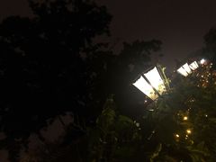 -Sirena海妖日咖夜酒