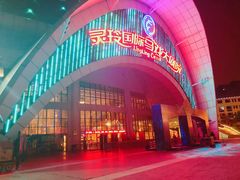 -灵玲国际马戏城